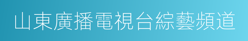 山東廣播電視台綜藝頻道的同義詞