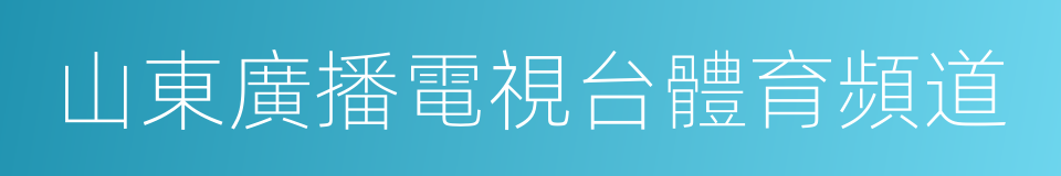 山東廣播電視台體育頻道的同義詞