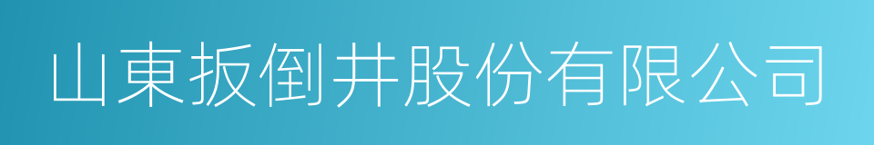 山東扳倒井股份有限公司的同義詞