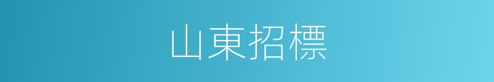 山東招標的同義詞