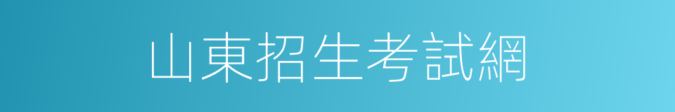 山東招生考試網的同義詞