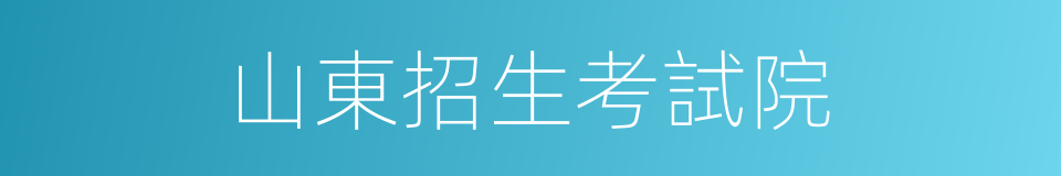 山東招生考試院的同義詞