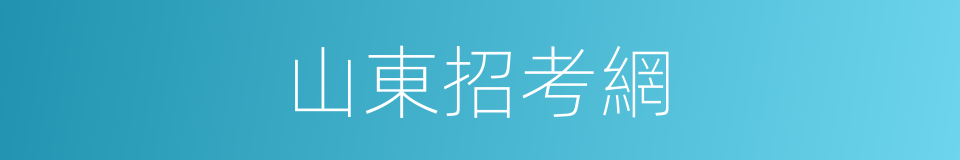 山東招考網的同義詞