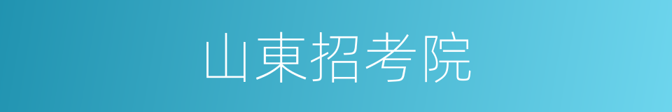 山東招考院的同義詞