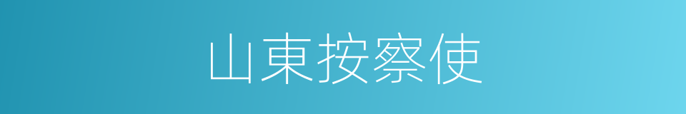 山東按察使的同義詞