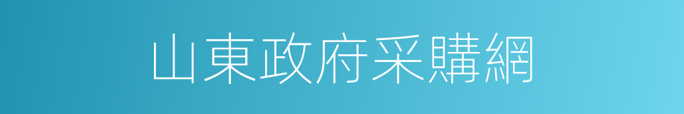 山東政府采購網的同義詞