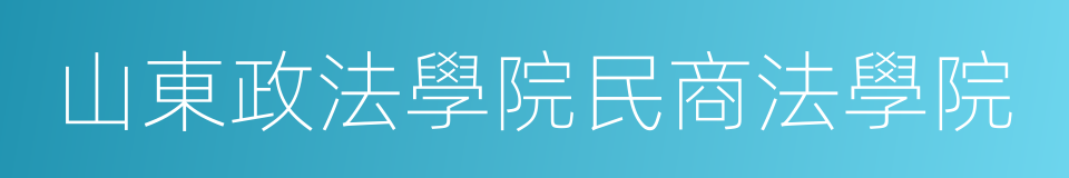 山東政法學院民商法學院的同義詞