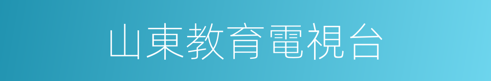 山東教育電視台的同義詞