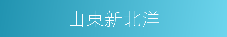 山東新北洋的同義詞