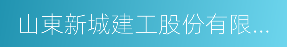 山東新城建工股份有限公司的同義詞