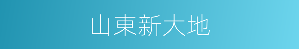 山東新大地的同義詞