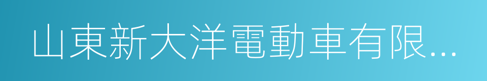 山東新大洋電動車有限公司的同義詞