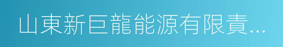 山東新巨龍能源有限責任公司的同義詞