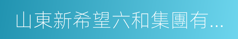 山東新希望六和集團有限公司的同義詞