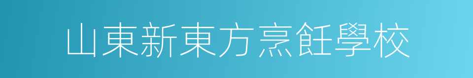 山東新東方烹飪學校的同義詞