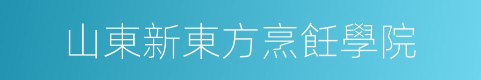 山東新東方烹飪學院的同義詞