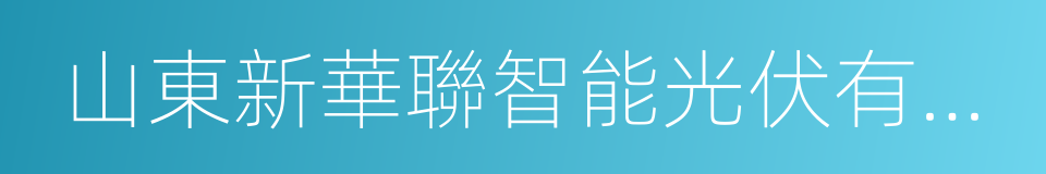 山東新華聯智能光伏有限公司的同義詞