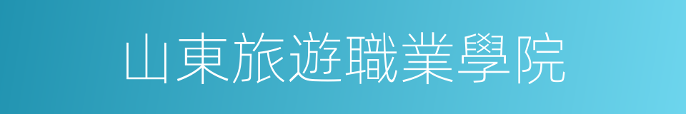 山東旅遊職業學院的同義詞