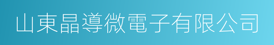 山東晶導微電子有限公司的意思