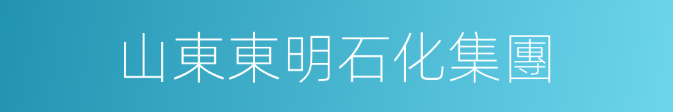 山東東明石化集團的同義詞