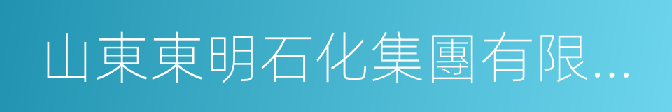 山東東明石化集團有限公司的同義詞