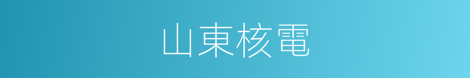 山東核電的同義詞