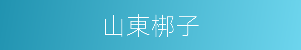 山東梆子的意思