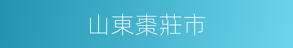 山東棗莊市的同義詞