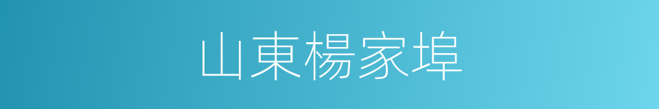 山東楊家埠的同義詞