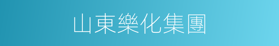 山東樂化集團的同義詞