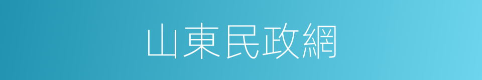 山東民政網的同義詞