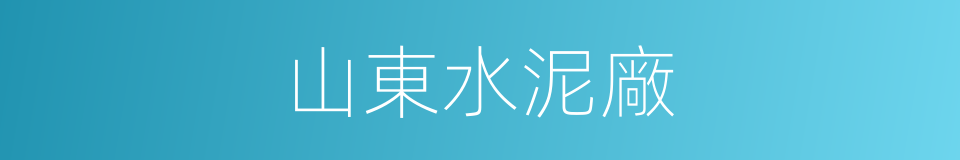 山東水泥廠的同義詞