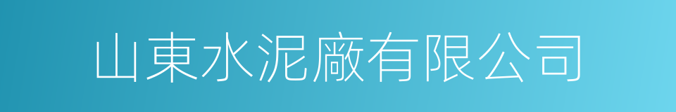 山東水泥廠有限公司的同義詞