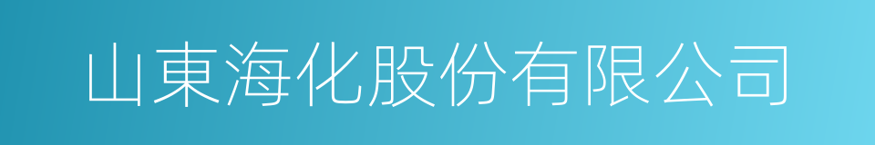 山東海化股份有限公司的同義詞