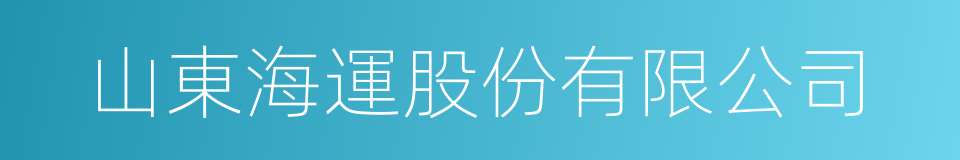 山東海運股份有限公司的同義詞