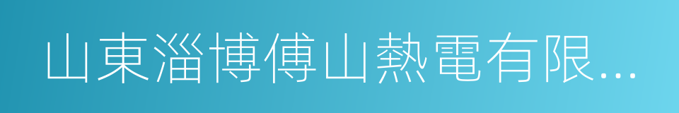 山東淄博傅山熱電有限公司的同義詞