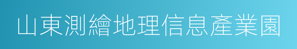 山東測繪地理信息產業園的同義詞