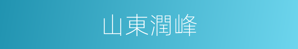 山東潤峰的同義詞