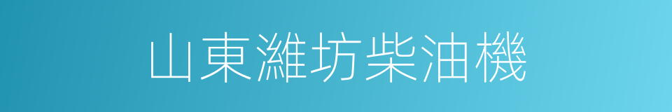 山東濰坊柴油機的同義詞