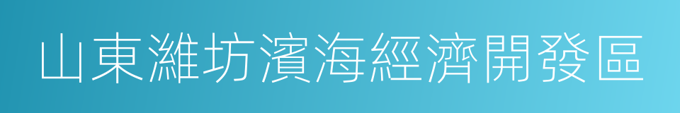 山東濰坊濱海經濟開發區的同義詞