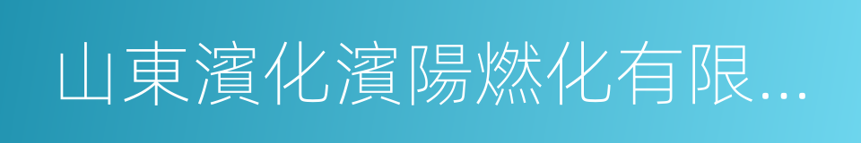 山東濱化濱陽燃化有限公司的同義詞