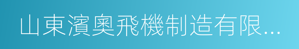 山東濱奧飛機制造有限公司的同義詞