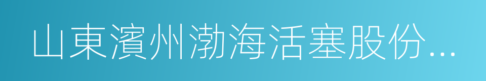 山東濱州渤海活塞股份有限公司的同義詞