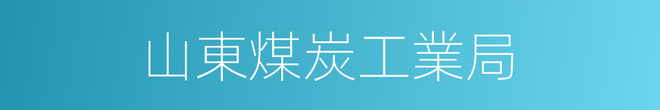 山東煤炭工業局的同義詞