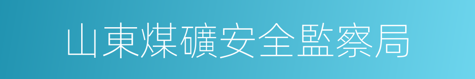 山東煤礦安全監察局的同義詞