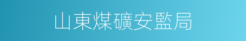 山東煤礦安監局的同義詞