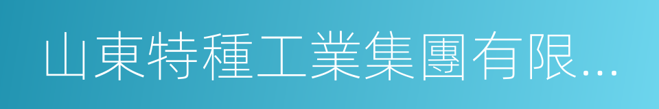 山東特種工業集團有限公司的同義詞