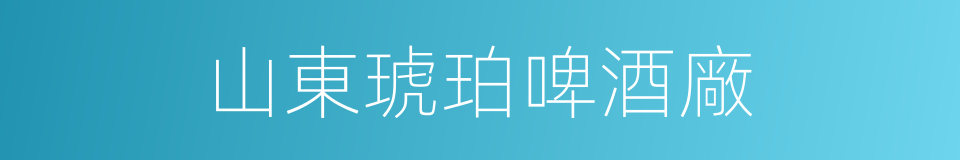 山東琥珀啤酒廠的同義詞