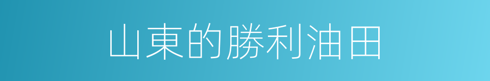 山東的勝利油田的同義詞