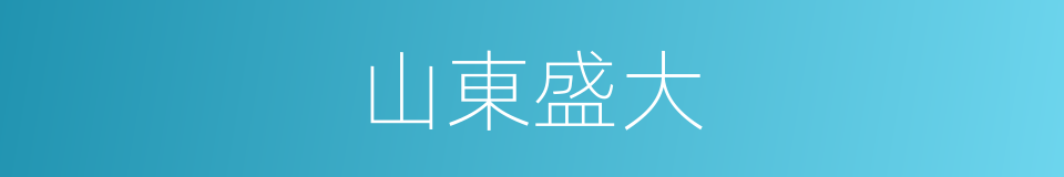 山東盛大的同義詞